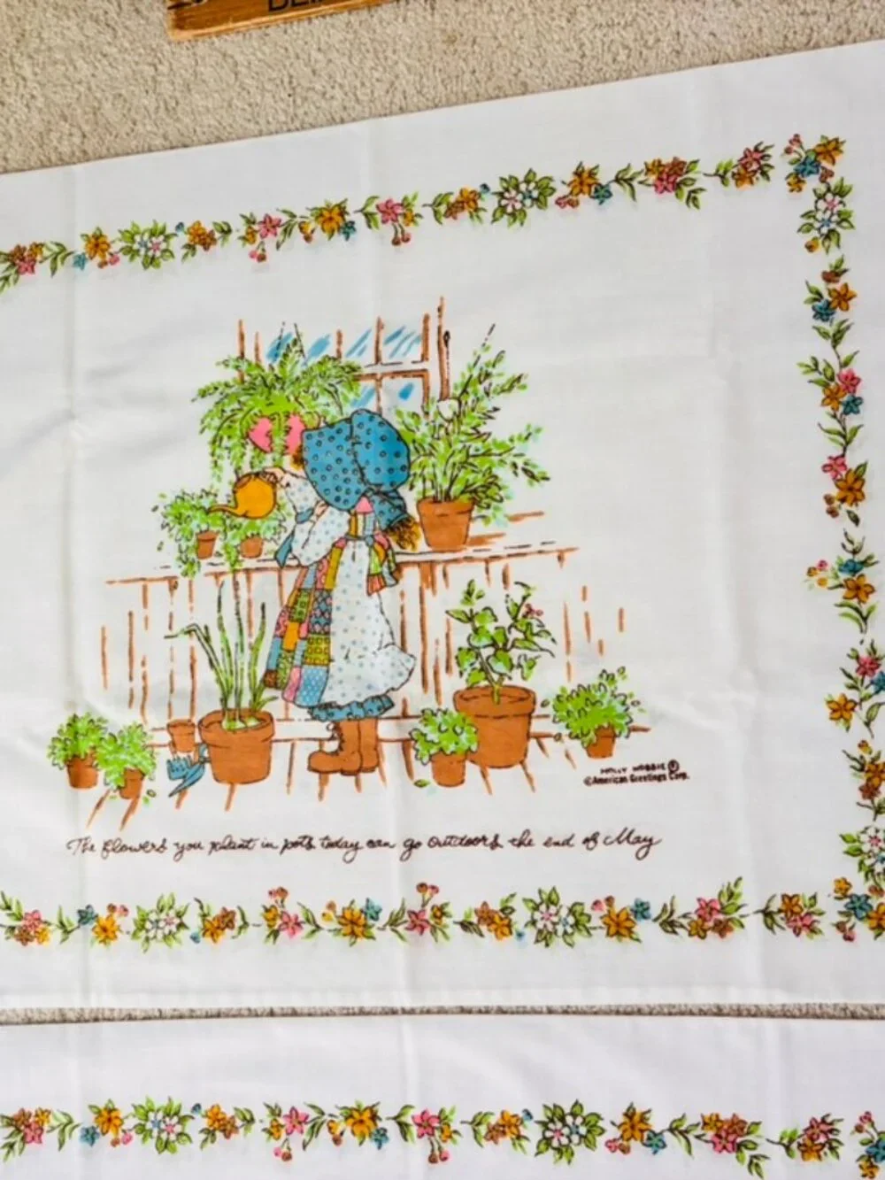 Set of Vintage 70's American Greetings Holly Hobbie pillowcases